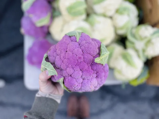 Photo of Beacon Farmers' Market in Beacon, New York